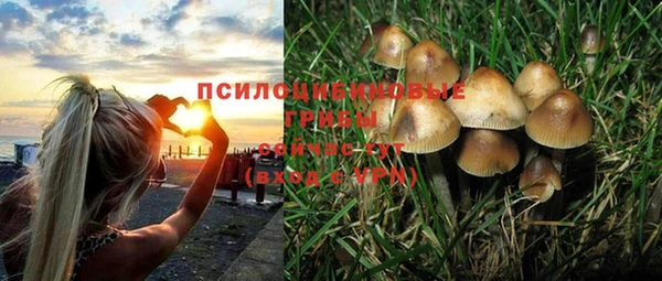 герыч Щучье