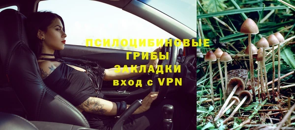 герыч Щучье