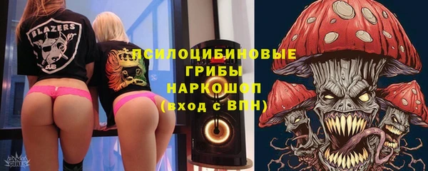 Альфа ПВП Щигры